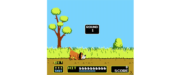 Duck Hunt game