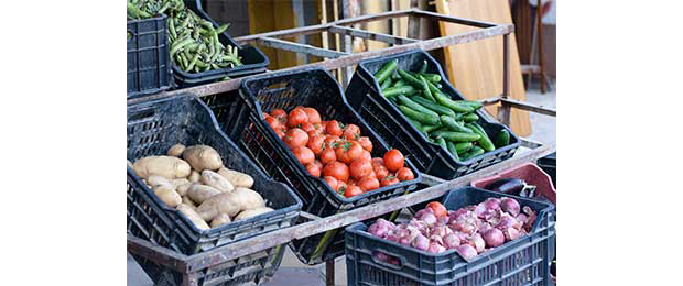 vegetables for sale