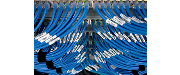 network cables